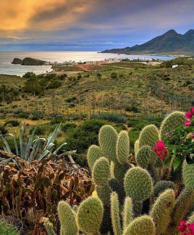 Alojamiento Mar Y Montana Casa de hóspedes Almería Exterior foto