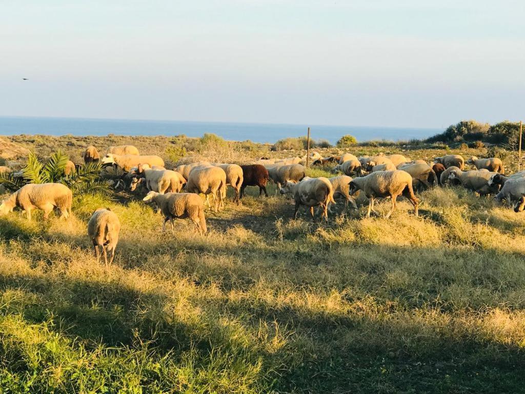 Alojamiento Mar Y Montana Casa de hóspedes Almería Exterior foto